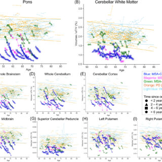 Longitudinal trajetories of regional volume