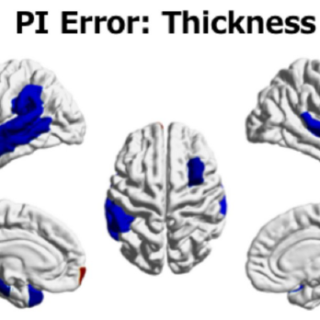 PI thickness
